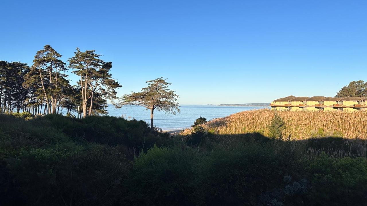 Aparthotel Spectacular Ocean View - 3 Heated Pools - Seascape Aptos Exterior foto